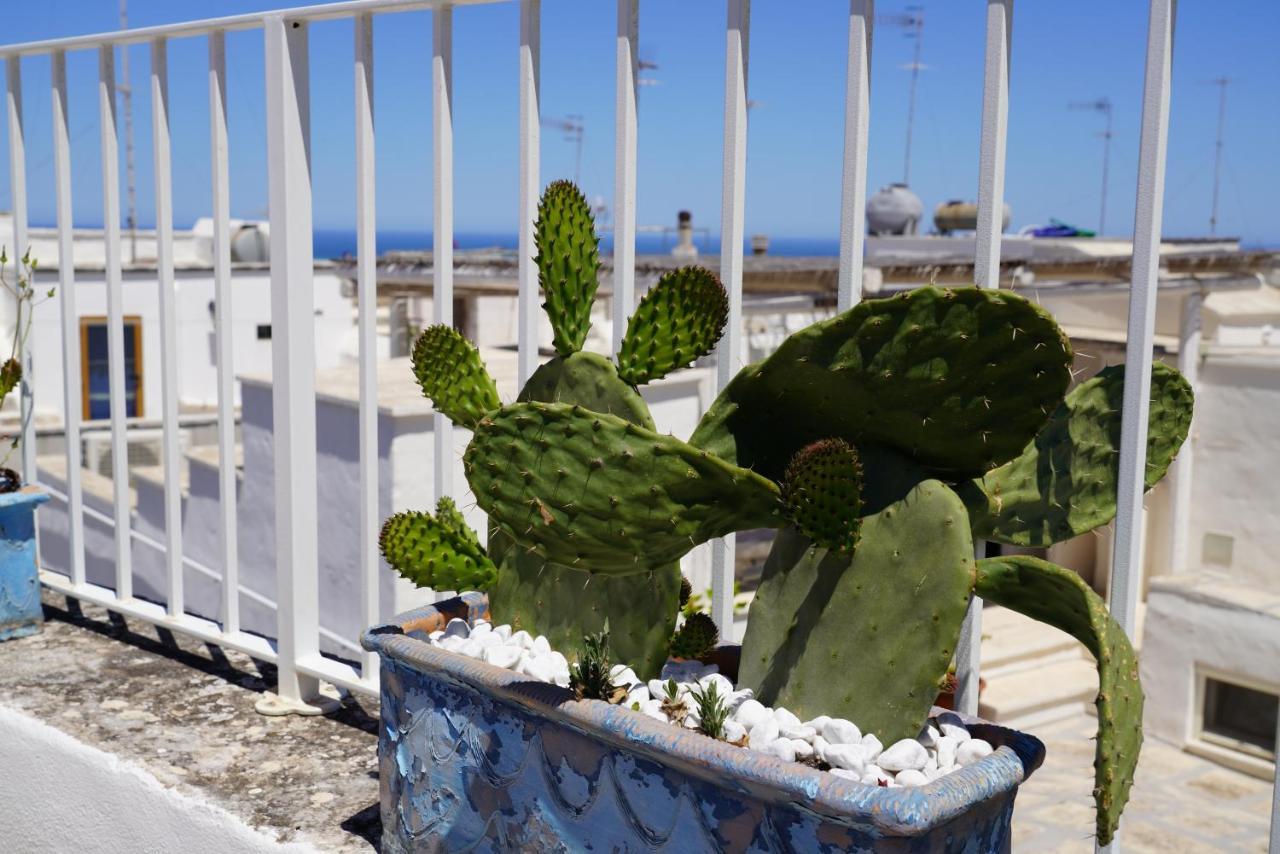 Casabella - Con Terrazza Panoramica Villa Ostuni Eksteriør bilde