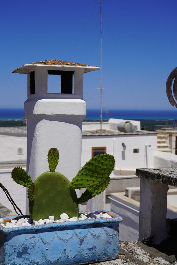 Casabella - Con Terrazza Panoramica Villa Ostuni Eksteriør bilde